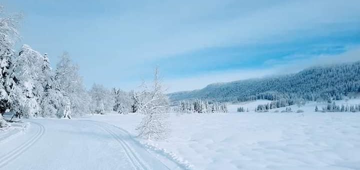 Le Massif Jurassien est un paradis de nature pour le ski de fond en hiver. 